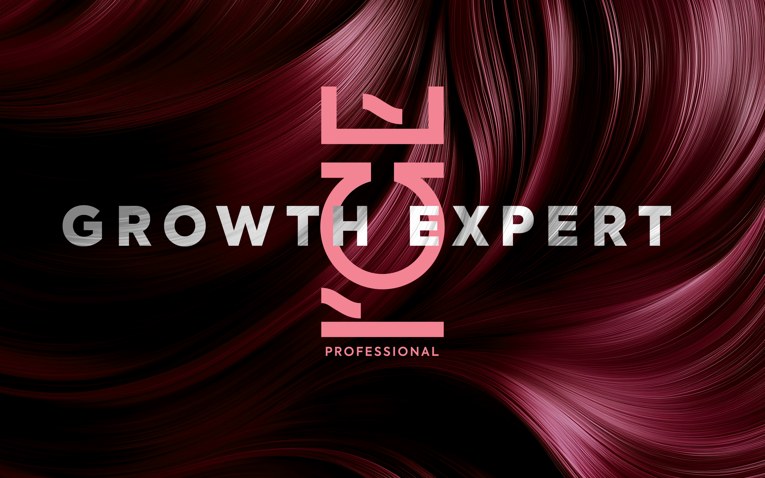 ICE Professional – Growth Expert